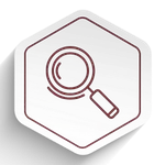 Búsqueda curada